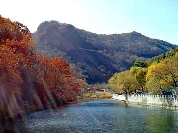 奥门天天开奖免费资料，巅峰神话